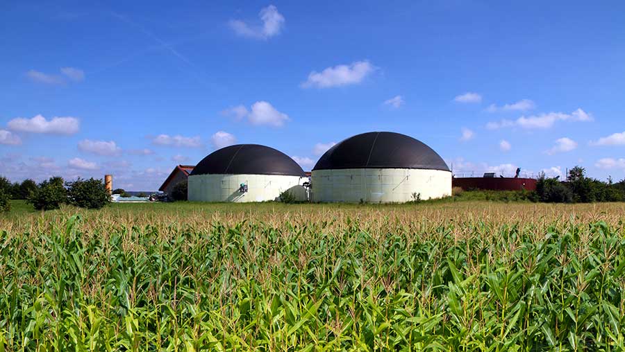 berblick AgroFossilFree berblick AgroFossilFree