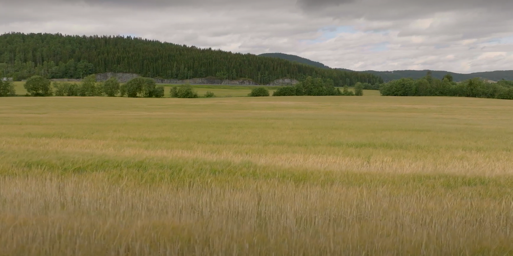 Captura de pantalla 2023-05-19 120637